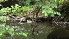 wasser