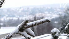 Nicht kalt erwischt: Winterdienst trotzt Schnee
