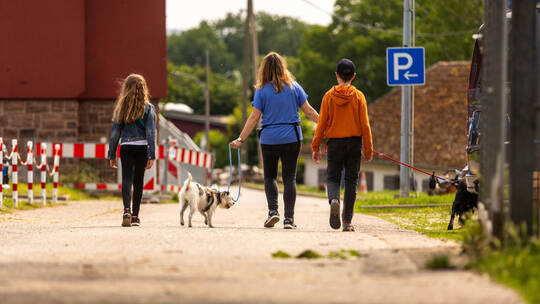 Dank freiwilliger Gassigeher genießen die Heimhunde auch mal Auslauf. Tierheim Pforzheim Mag Serie