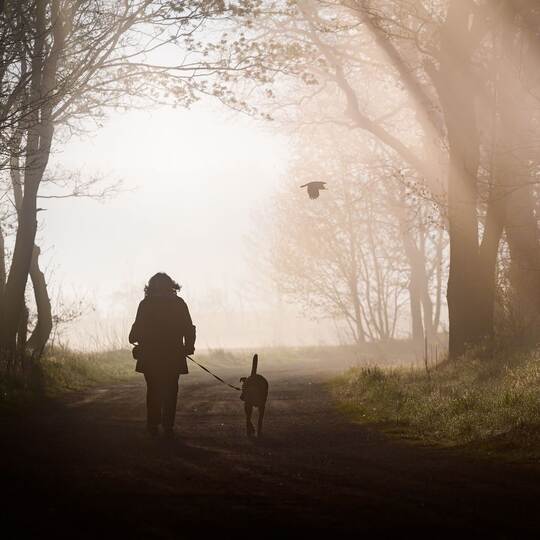 Morgenstimmung in Brandenburg