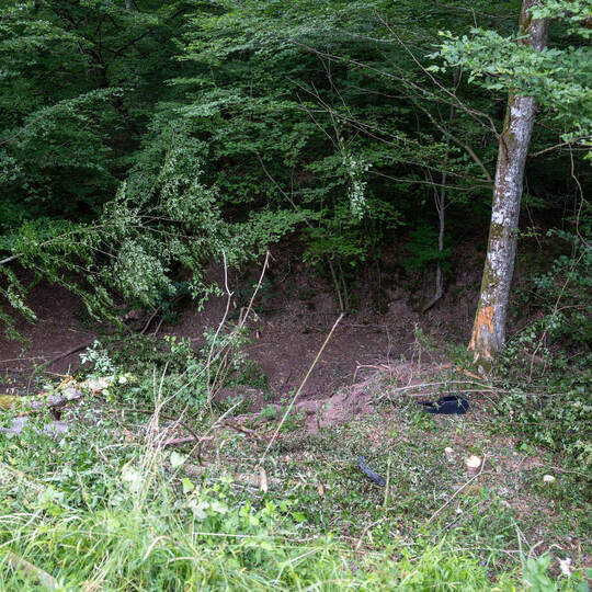 Tödlicher Unfall Illingen Schützingen