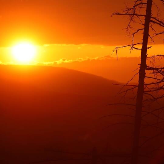 Sonnenuntergang im Harz
