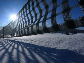 Foto: Symbolbild Foto: Symbolbild