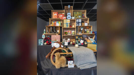 Pop-Up Pfoxx Andrea Sesulka