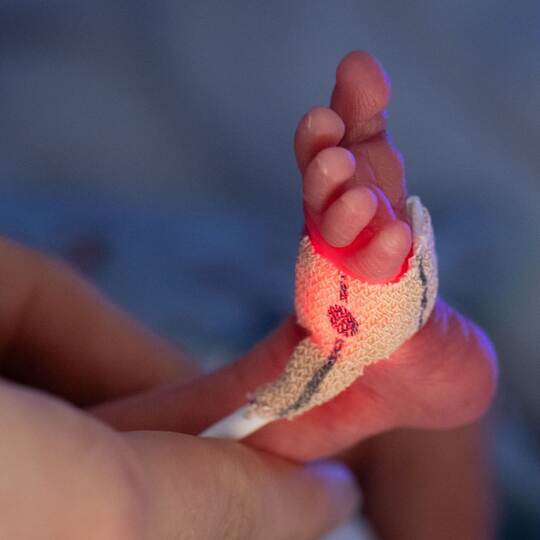 Frühchen werden ins Leben begleitet