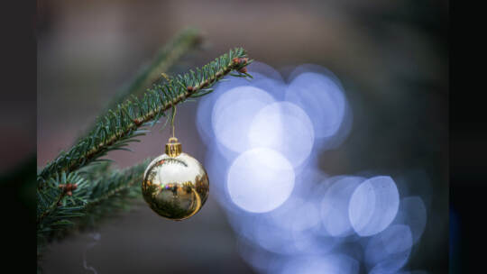 Eröffnung Winterwelt 2024