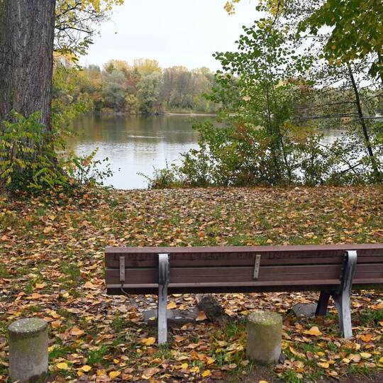 Sollachsee Germersheim: Von hier floh der Häftling beim Ausgang.