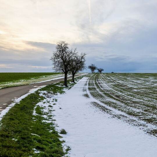 Tauwetter