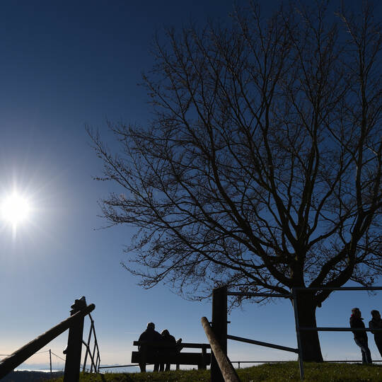 Ausflug in den sonnigen November
