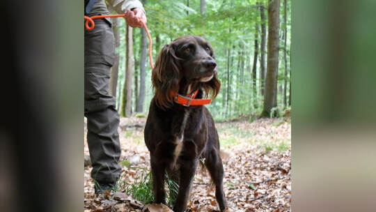 Försterin Anne-Sophie Knop