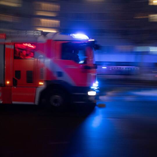 Silvester Silvester