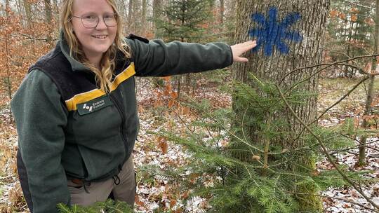 Im Wiernsheimer Forst zeigt die neue Wildtierbeauftragte Sofie Bloß auf einen Habitatbaum für Waldbewohner, der mit einem blauen
