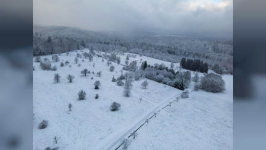 Winter Schmuckis Hohenwart