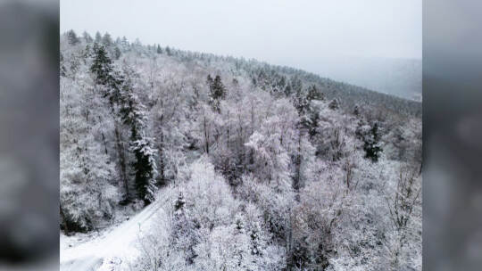 Winter Schmuckis Huchenfeld