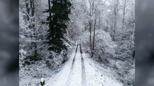 Winter Schmuckis Huchenfeld