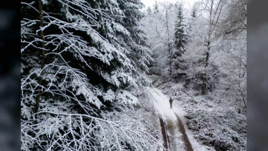 Winter Schmuckis Huchenfeld