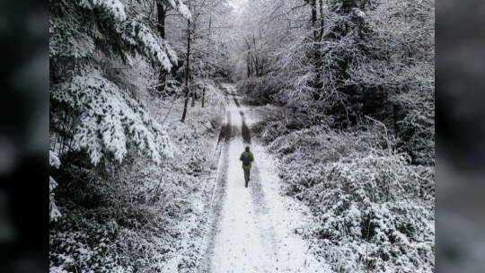 Winter Schmuckis Huchenfeld
