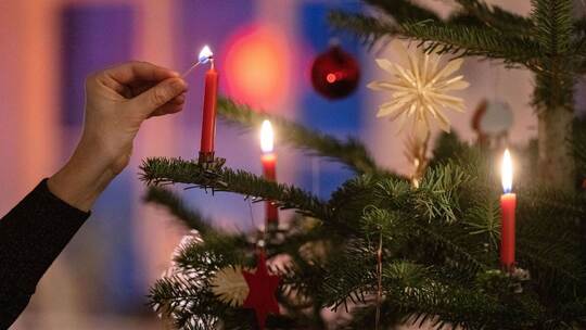 Weihnachtsbaum Weihnachtsbaum