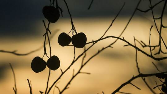 Wetter in Baden-Württemberg Wetter in Baden-Württemberg