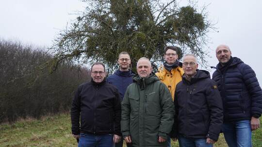 Bei der Bekämpfung der Misteln ziehen OGV-Schriftführer Uwe Penzinger, Dezernent Holger Nickel, OGV-Vorsitzender Harmut Filsinge