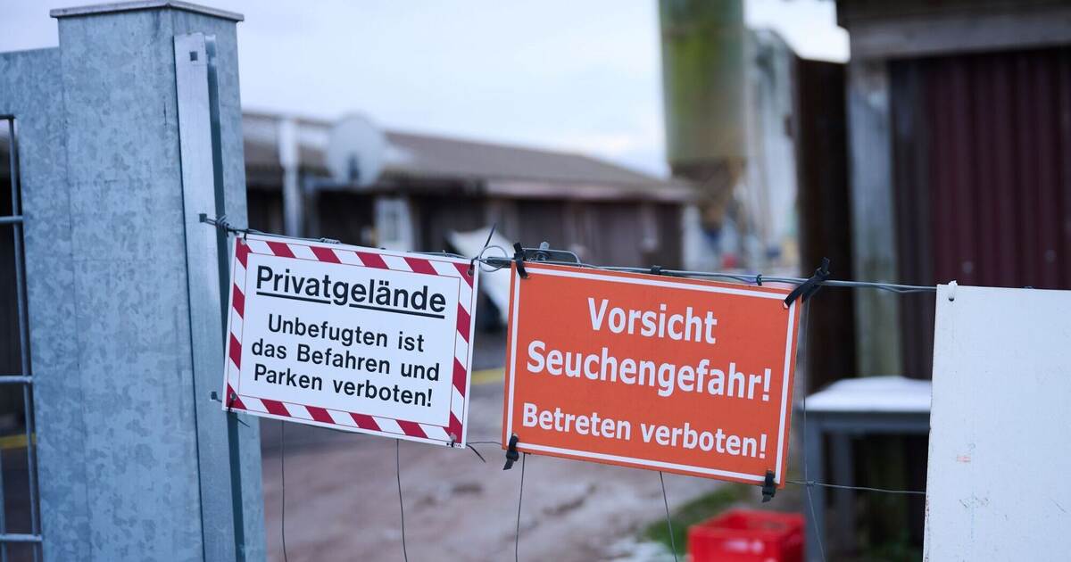 Farmers worried: How big is the extent of the animal disease?