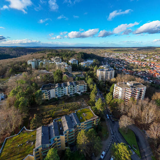 Eisingen Waldpark Drohne