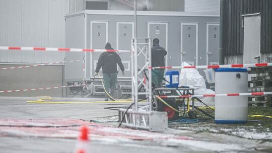 50.000 Puten müssen wegen Vogelgrippe gekeult werden 50.000 Puten müssen wegen Vogelgrippe gekeult werden