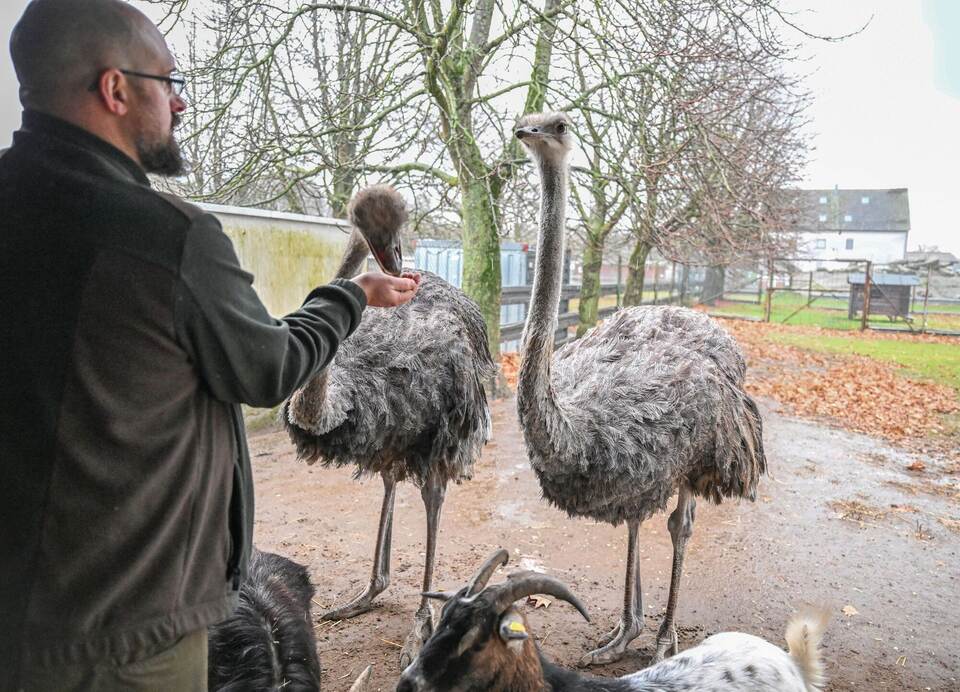 Vogelgrippe Landkreis Karlsruhe