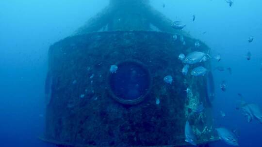 120 Tage unter Wasser: Deutscher bricht Weltrekord 120 Tage unter Wasser: Deutscher bricht Weltrekord