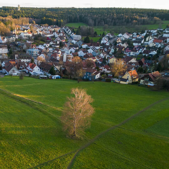 Schömberg Neubaugebiet Dahlienstraße