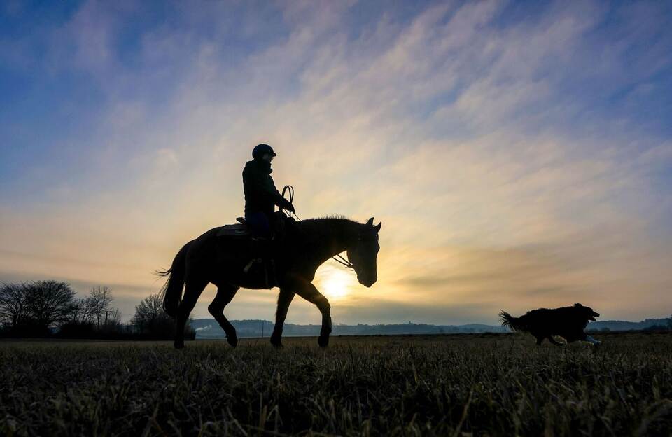 Morgenstimmung auf der Schwäbischen Alb