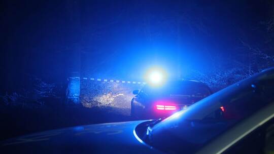 Kleinflugzeug stürzt ab in Geisingen Kleinflugzeug stürzt ab in Geisingen