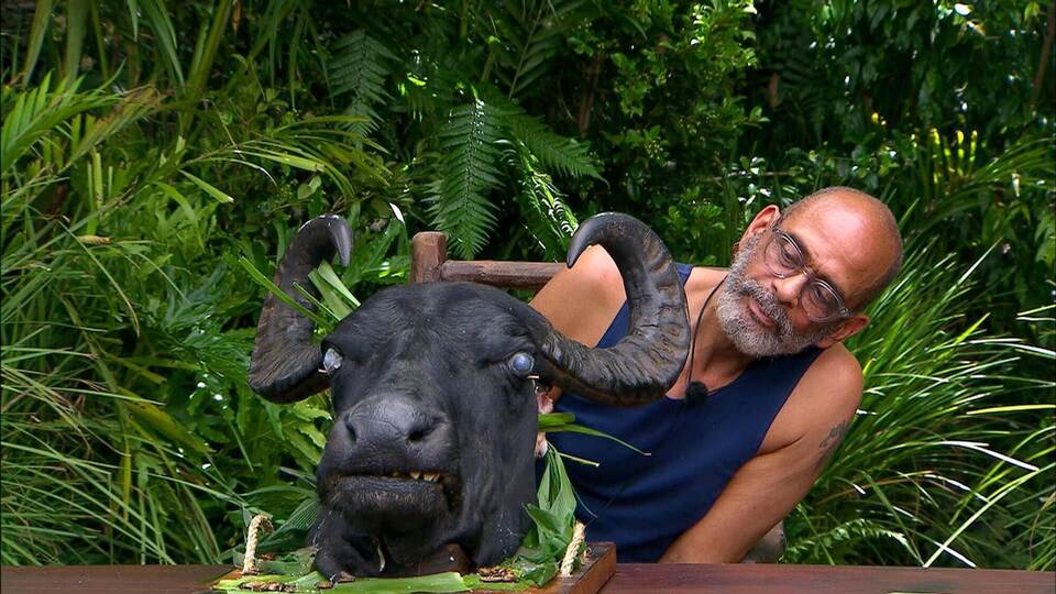 Ich bin ein Star - Holt mich hier raus! - Folge 17