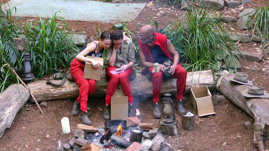 Ich bin ein Star - Holt mich hier raus! - Folge 17