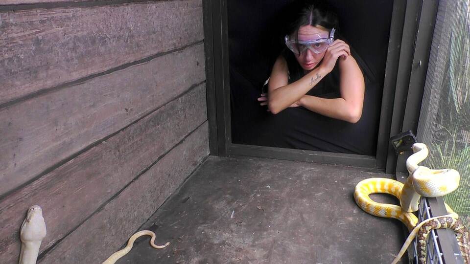 Ich bin ein Star - Holt mich hier raus! - Folge 17