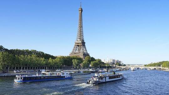 Bedrohte Muschelarten in Seine in Paris entdeckt