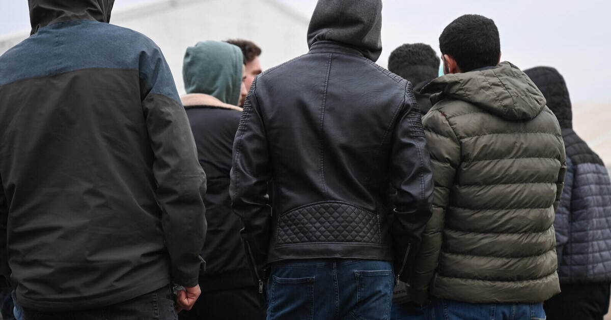 After a penalty payment to the Enzkreis: This is how the refugee ...