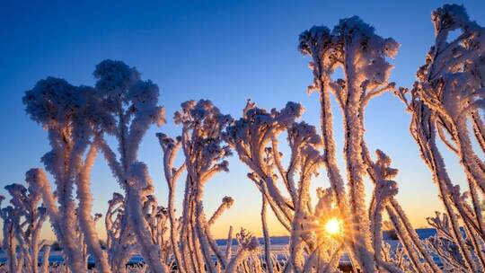 Winterwetter in Brandenburg Winterwetter in Brandenburg