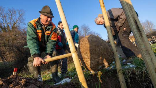 Baumpflanzaktion Ellmendingen Ausgleich Feuerwehr
