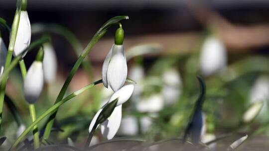 Sonniges Winterwetter