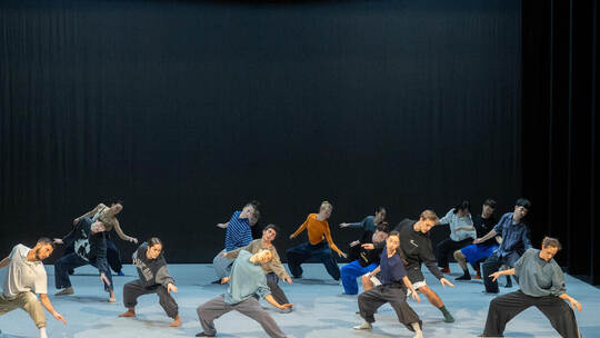 Theater Probe Black Swan