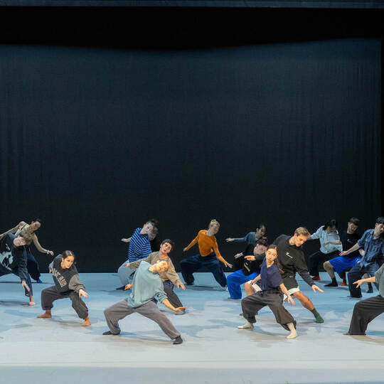 Theater Probe Black Swan