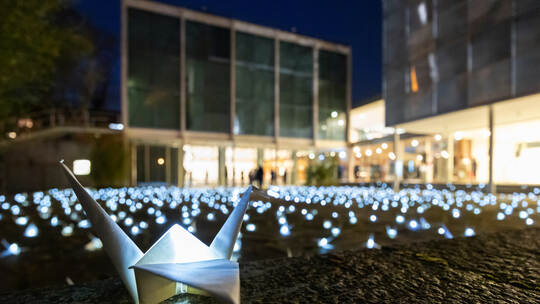 Friedenspreis Düzen Tekkal