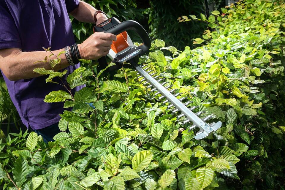 Bahn, Rente, Sommerzeit – was sich im März ändert Bahn, Rente, Sommerzeit – was sich im März ändert