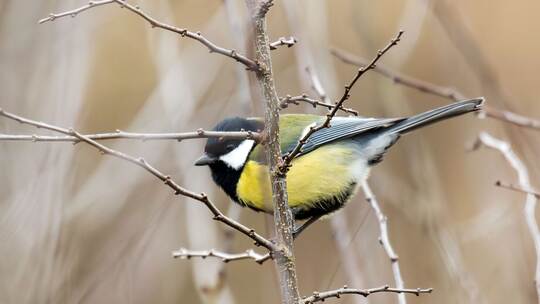 Winterwetter in Baden-Württemberg
