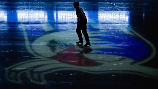 Adler Mannheim
