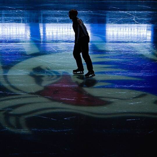Adler Mannheim