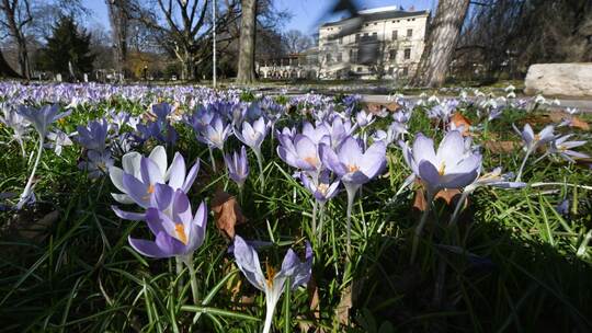 Frühlingswetter in Eßlingen