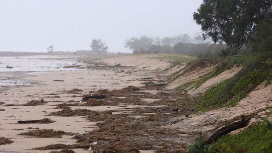Zyklon «Alfred» in Australien