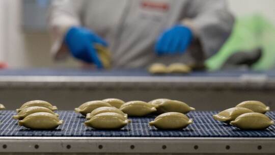 Maultaschen - Bürger GmbH & Co. KG